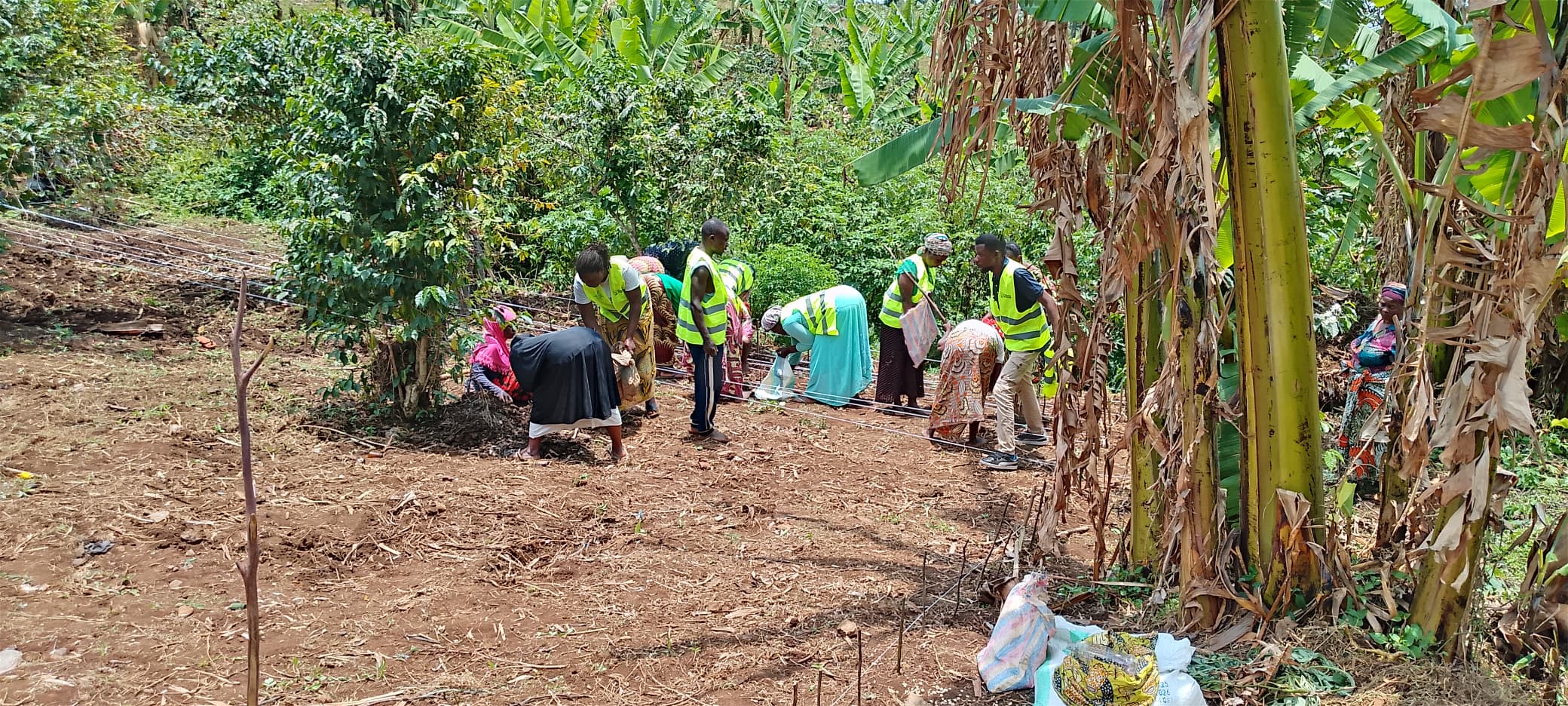 Gestion de l'environnement